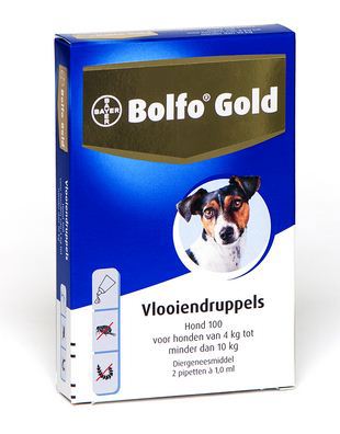 BOLFO GOLD VLOOIENDRUPPELS HOND - 4 TOT 10 KG - 100 MG 2 PIP