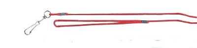 BZ NYLON POEZENLIJNTJE 5M RD