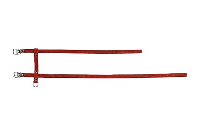 BZ KATTENTUIGJE SUEDE RD