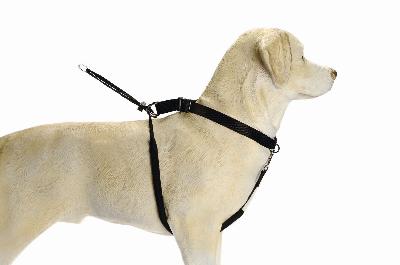 BZ GENTLE WALKER ZWT S