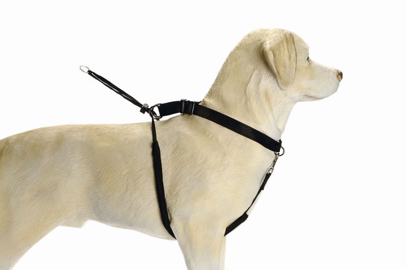 BZ GENTLE WALKER ZWT S