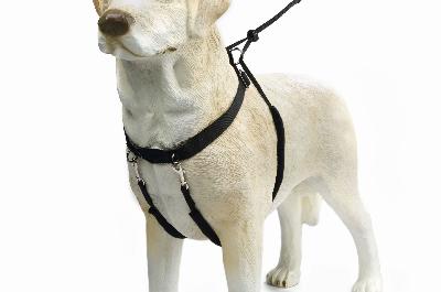 BZ GENTLE WALKER ZWT M