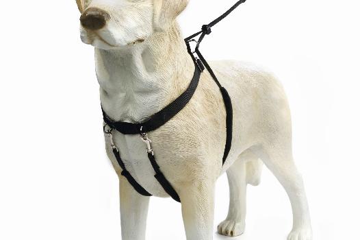 Bz Gentle Walker Zwt M