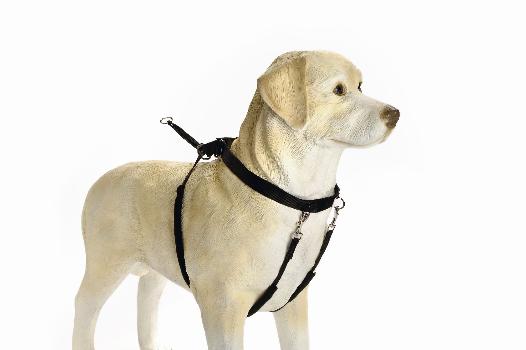 Bz Gentle Walker Zwt L