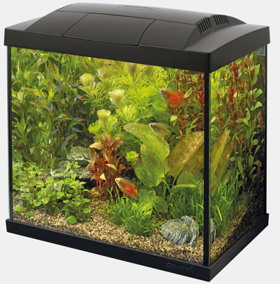 START 30 TROPICAL KIT BLACK