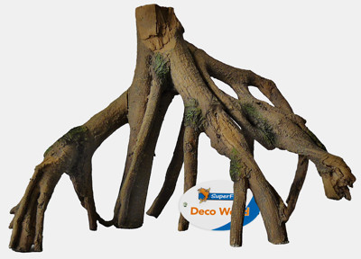 MANGROVE ROOT S