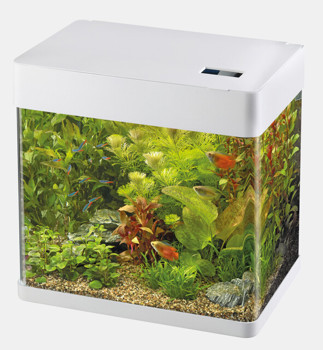 SUPERFISH PANORAMA 35 WHITE