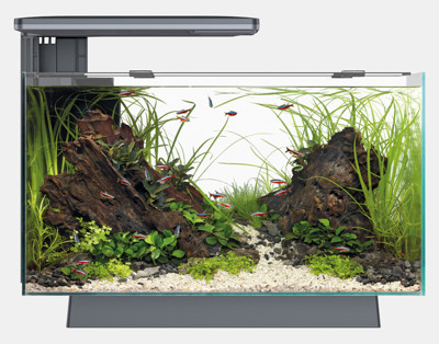 QUADRO 40 PRO ZWART