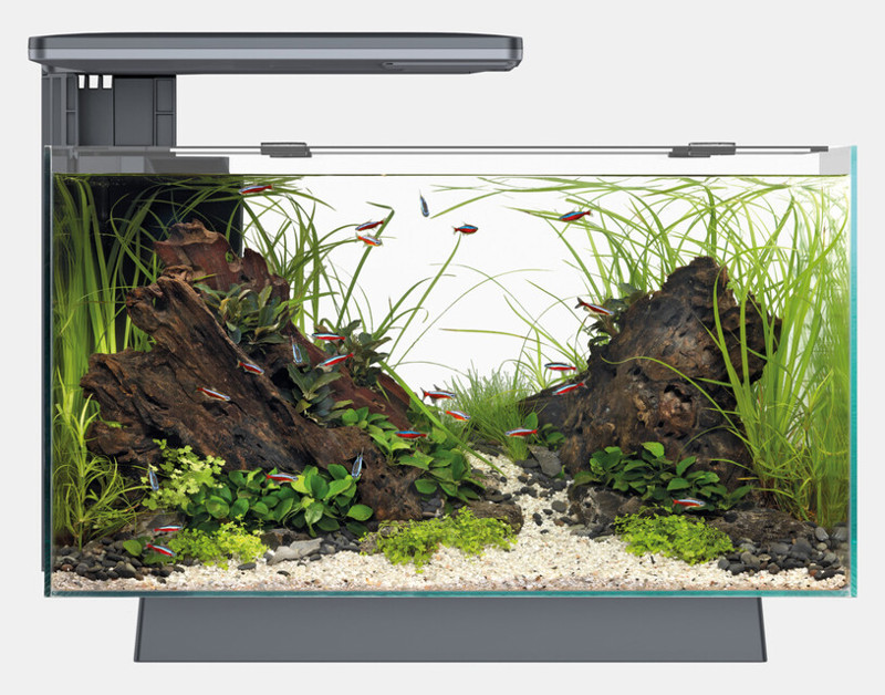 QUADRO 40 PRO ZWART