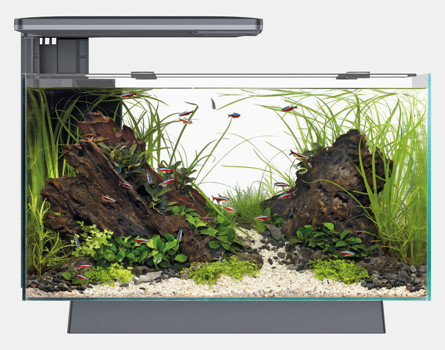 QUADRO 40 PRO ZWART