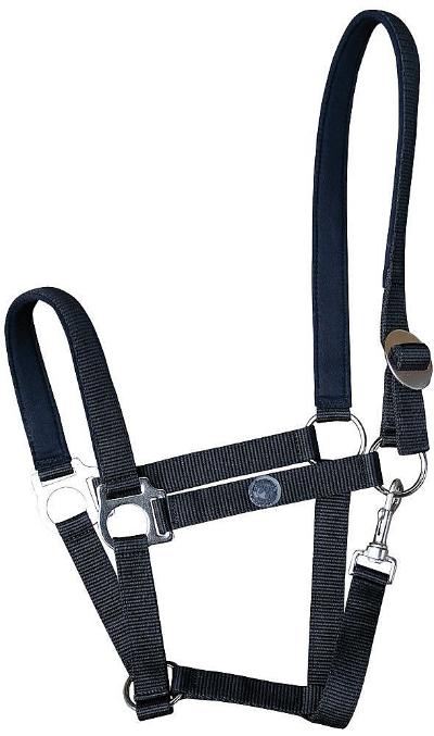 HALSTER PADDED PONY ZWART