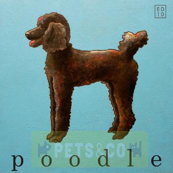 Poodle