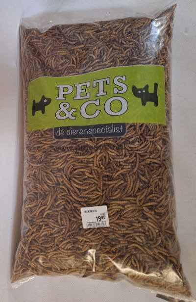 MEELWORMEN 1KG