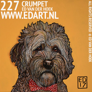 EDART CRUMPET PORTUGESE WATERHOND