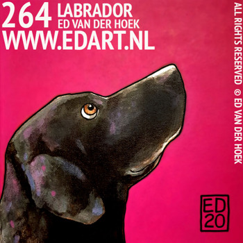 EDART LABRADOR RETRIEVER