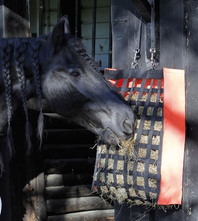 HOOITAS ADAGIO ORANJE