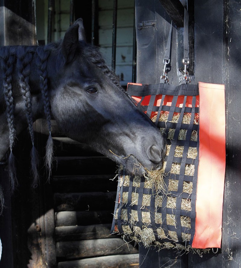 HOOITAS ADAGIO ORANJE