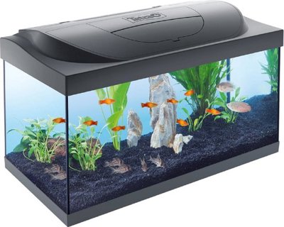 AQUARIUM STARTER LINE LED 54 LITER