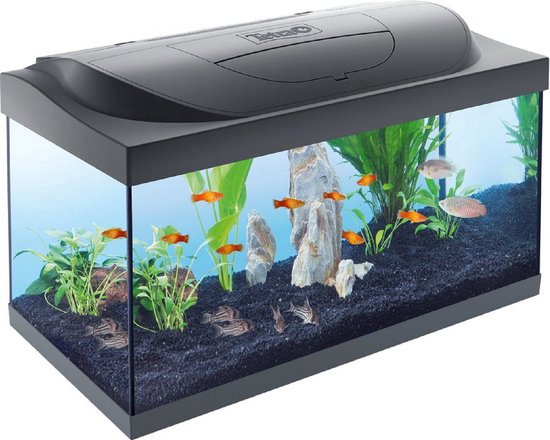 AQUARIUM STARTER LINE LED 54 LITER