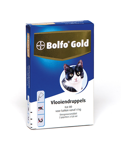 BOLFO GOLD VLOOIENDRUPPELS KAT - VANAF 4 KG - 80 MG 2 PIPETT