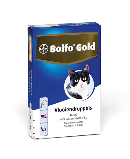 Bolfo Gold Kat 80 2Pip