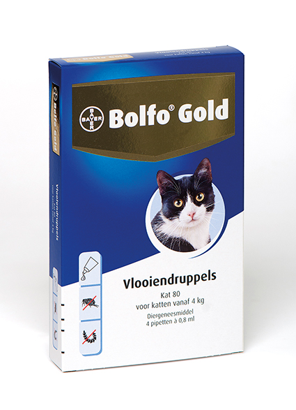 Bolfo Gold Kat 80 4Pip
