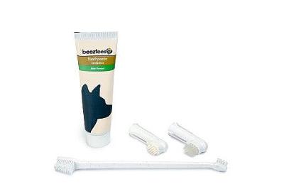 BZ GEBITVERZORGSET TANDP+BORSTELS