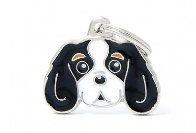 MYFAMILY CAVALIER KING TRICOLOR ST