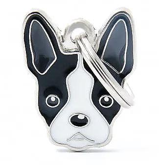 Myfamily Boston Terrier St