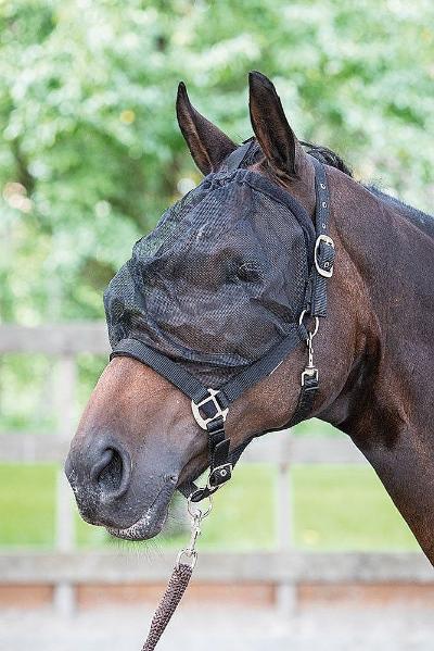 VLIEGENMASKER HALSTER PONY