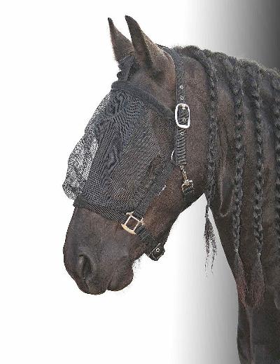 VLIEGENMASKER HALSTER COB