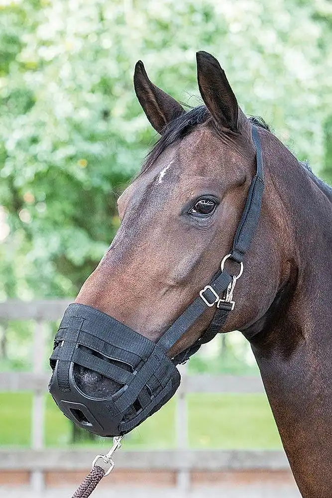 Grazing Muzzle Air Xs
