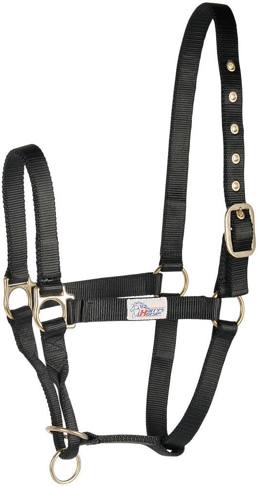 HALSTER CONTROLLER COB ZWART