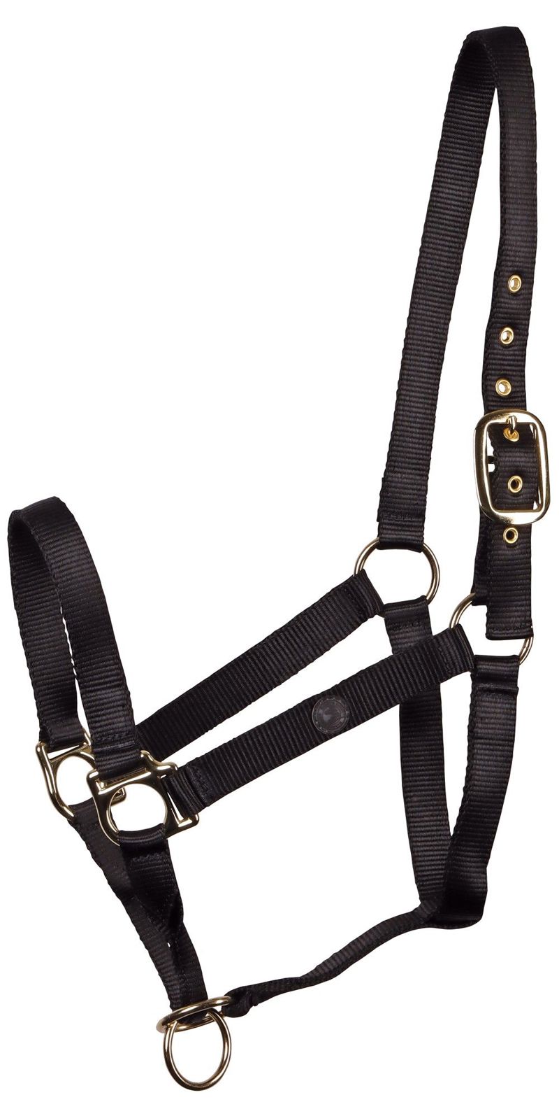 HALSTER CONTROLLER FULL ZWART