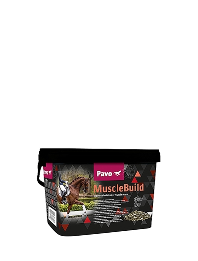 PAVO MUSCLEBUILD 3KG