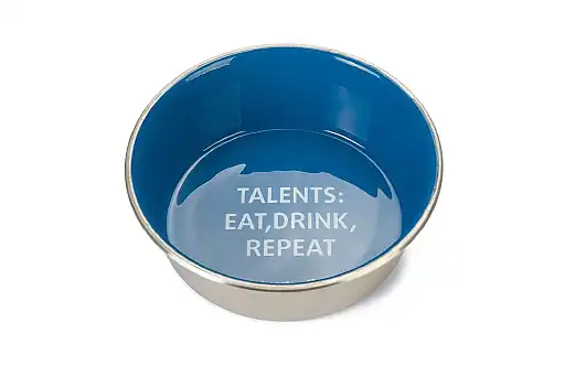 Bz Rvs Eetbak Talents Hond Blw 16