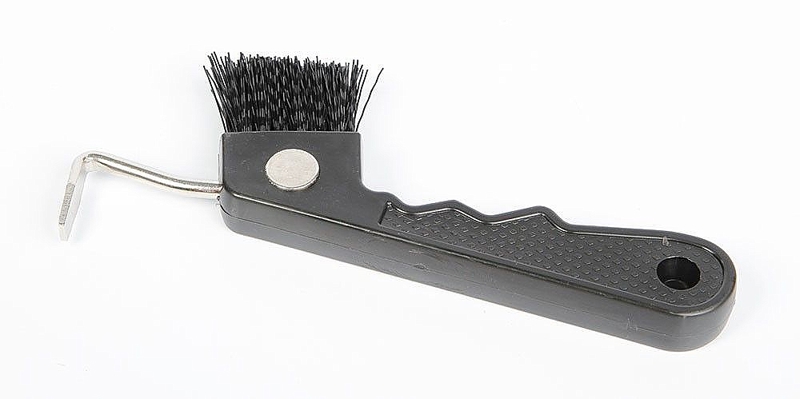 HOEVENKRABBER/BORSTEL MAGNEET ZWART