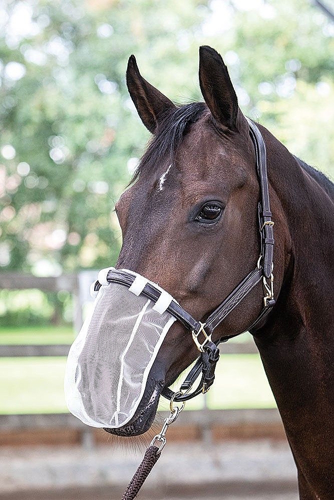 NOSE NET PONY WIT