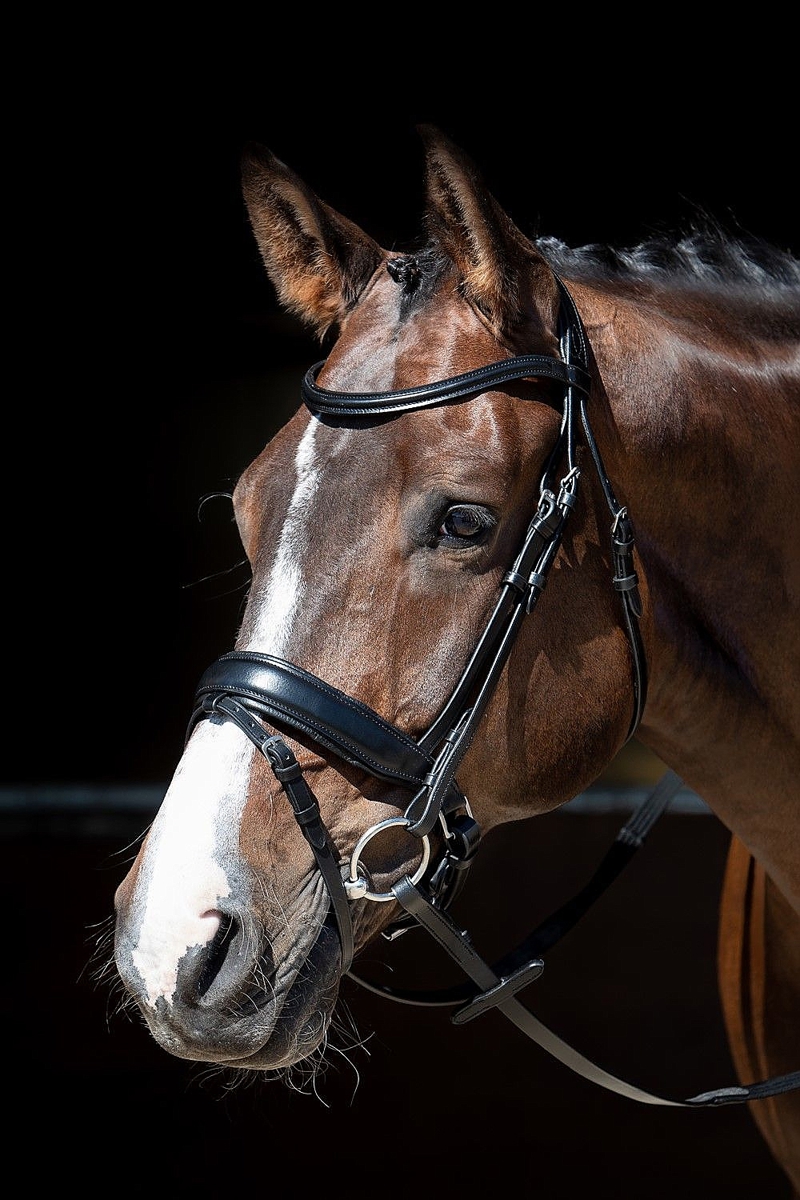 HOOFDSTEL MM FORAMEN FREE FULL ZWART