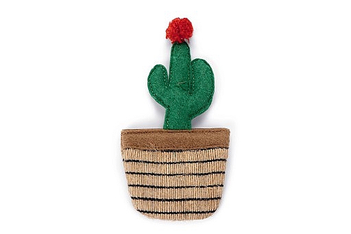 BZ CATNIP CACTUS OTA 12X6