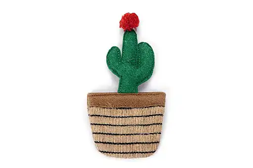 Bz Catnip Cactus Ota 12X6
