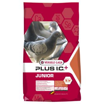 Junior Plus I.C.+ Jonge Duiven 20 Kg