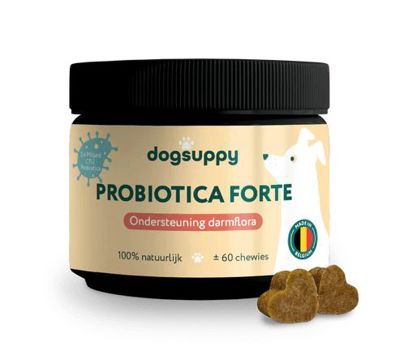 DS PROBIOTICA FORTE KIP 60 ST