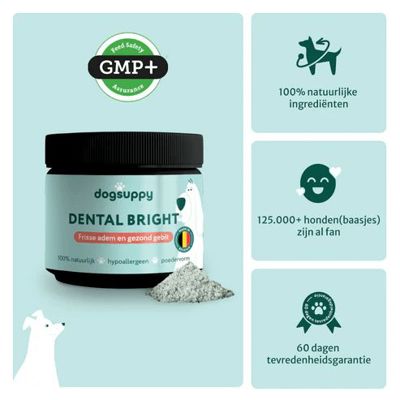 DS DENTAL BRIGHT 90 GR