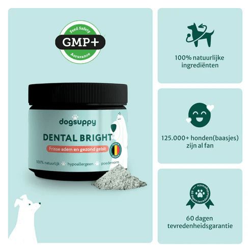 DS DENTAL BRIGHT 90 GR