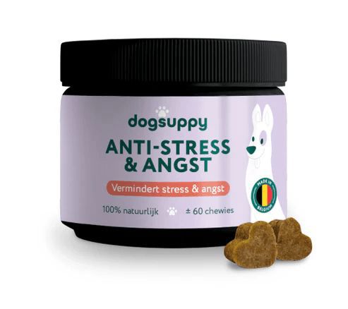 DS ANTI-STRESS&ANGST KIP 60 ST