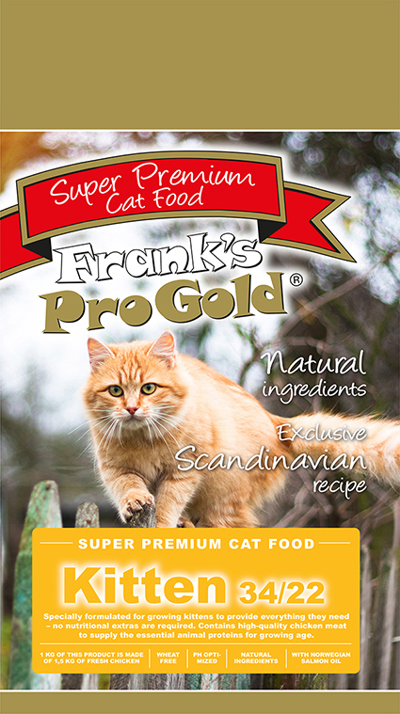 FPG CAT KITTEN
