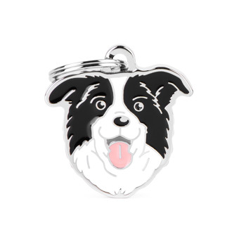 MYFAMILY BORDER COLLIE
