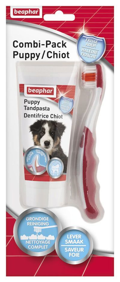 BEAPHAR TANDPASTA & BORSTEL PUP