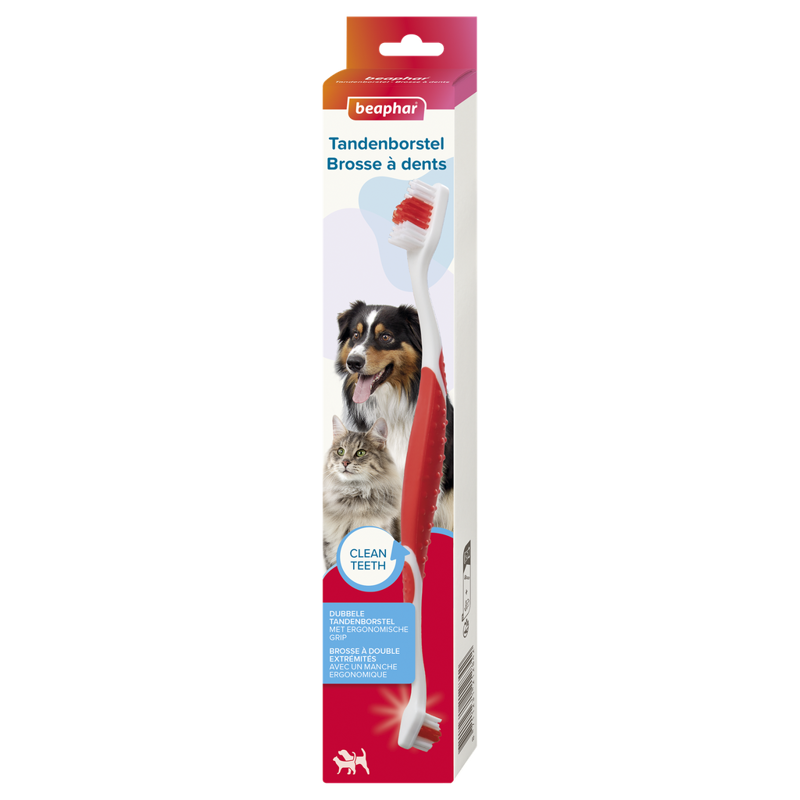 TANDENBORSTEL HOND/KAT
